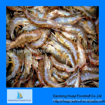 frozen shrimp fresh water shrimp wholesale